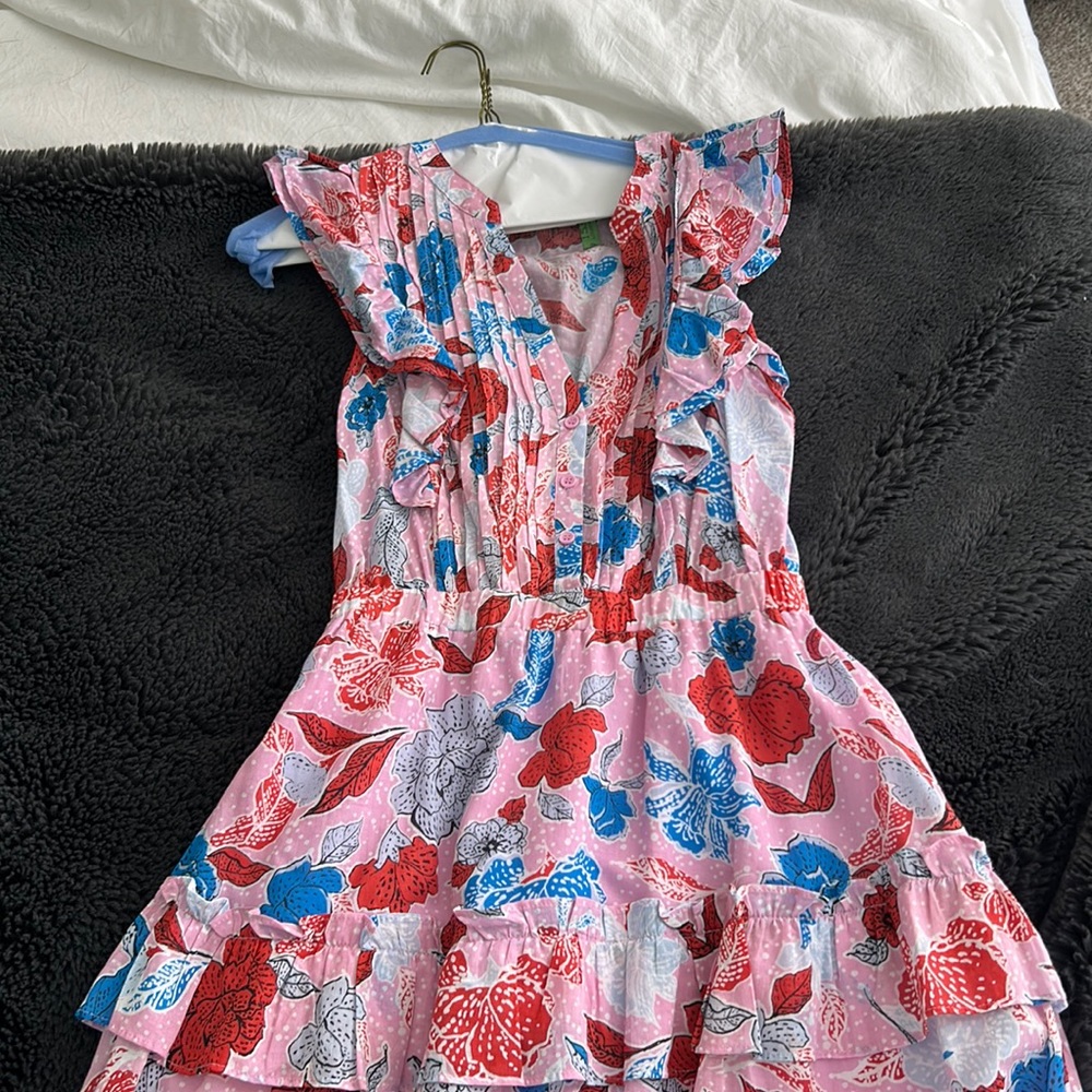BB Dakota Dress